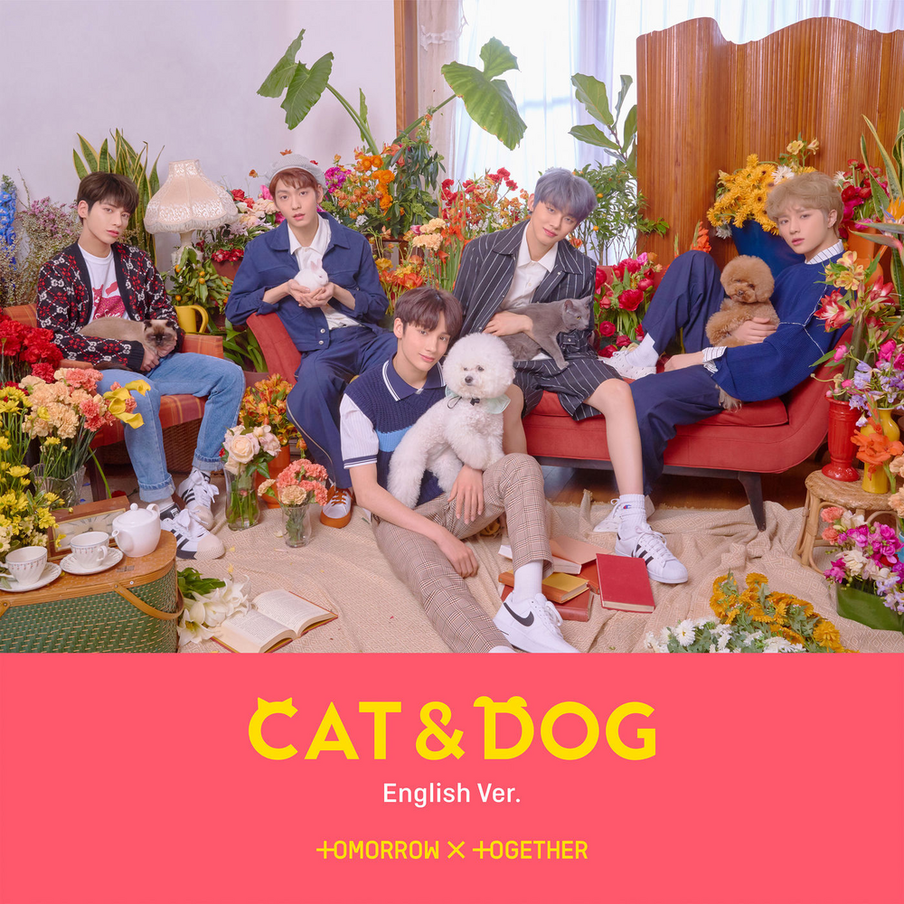 TXT - Cat and Dog cover art